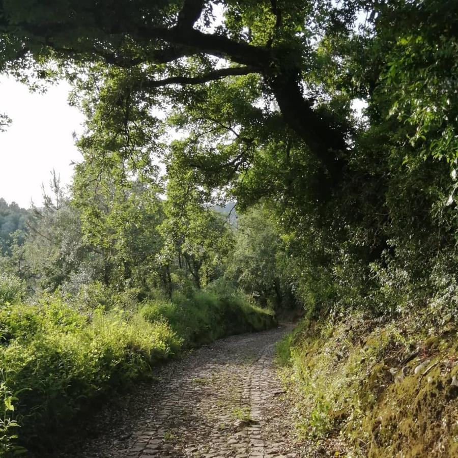 Pateo Das Rizas Eiras Экстерьер фото